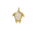 Rock Crystal Quartz w/ Gold Finish Sea Turtle Focal 15x19mm