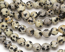 Dalmatian Jasper Faceted Round 6mm