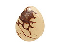 Tagua Nut Cream Groovy Slice 25-35x30-42mm