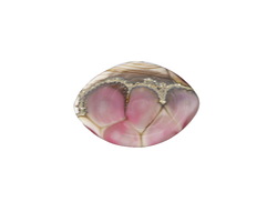 A Beaded Gift Silvered Rubino Garden Zulu 13x19mm