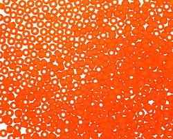 TOHO Transparent Frosted Hyacinth Round 11/0 Seed Bead