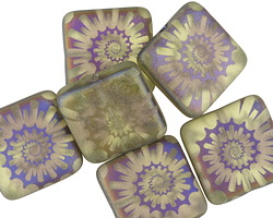 Czech Glass Laser Etched Ammonite on Matte Olivine w/ Rainbow Finish Puff Square 15mm