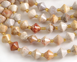 Indonesian Fossil Jasper Faceted Bicone 8mm