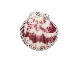 Colorful Pectin Scallop Pendant w/ Silver Finish 30-41x33-45mm