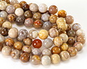 Indonesian Fossil Coral Round 12mm