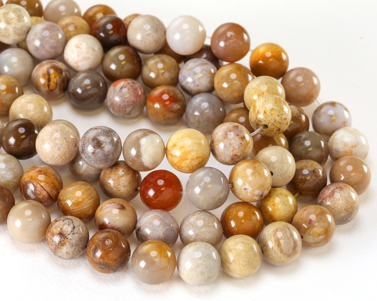 Indonesian Fossil Coral Round 12mm