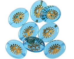 Czech Glass Aquamarine w/ Gold Oval Star Window 14x10mm