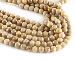 Fossil Jasper (AAA) Round 8mm