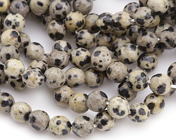 Dalmatian Jasper Faceted Round 8mm