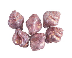 Czech Glass Bronzed Wisteria Murex Shell 15x12mm