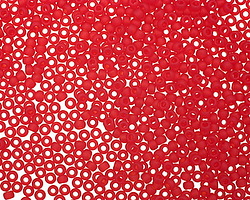 TOHO Transparent Frosted Ruby Round 11/0 Seed Bead
