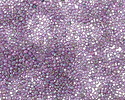 TOHO Gold Lustered Hydrangea Round 15/0 Seed Bead