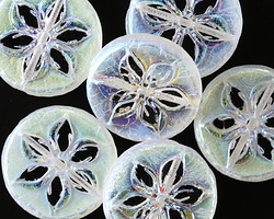 Czech Glass Crystal AB Clematis Coin Bead 18mm