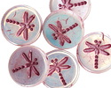 Czech Glass White AB w/ Metallic Pink Dragonfly Coin 17mm
