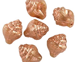 Czech Glass Bisque w/ Copper Finish Murex Shell 15x12mm