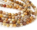 Indonesian Fossil Coral Round 6mm