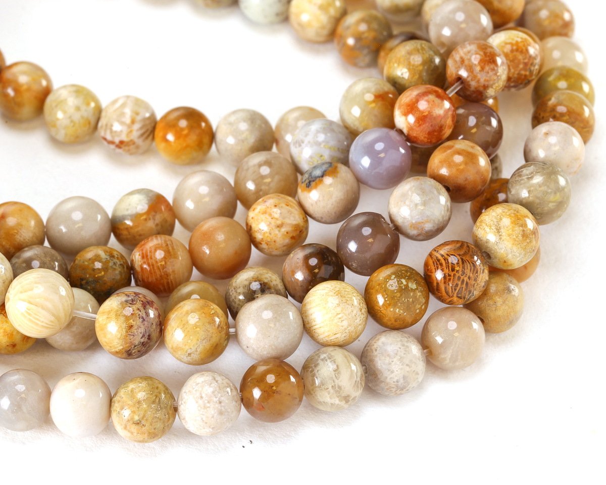 Indonesian Fossil Coral Round 8mm