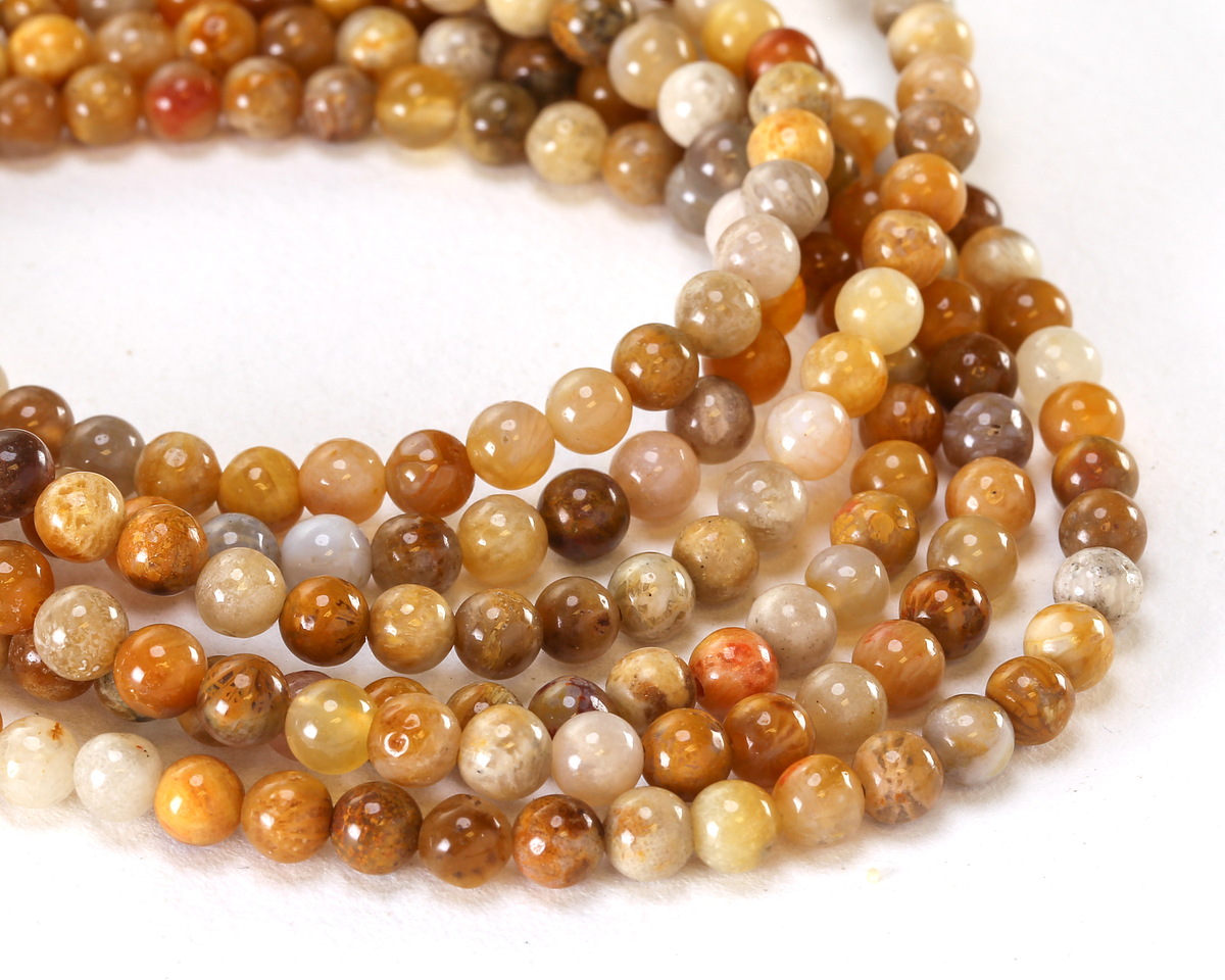 Indonesian Fossil Coral Round 4mm