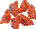 Czech Glass Matte Tangerine w/ Rainbow Metallic Bird 11x22mm