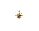 14K Gold (plated) Stainless Steel Star w/ Garnet Crystal Pavé Focal 9x11mm