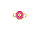 24K Gold (plated) Rose Pink & Mint Enamel North Star Round Focal Link 16x10mm