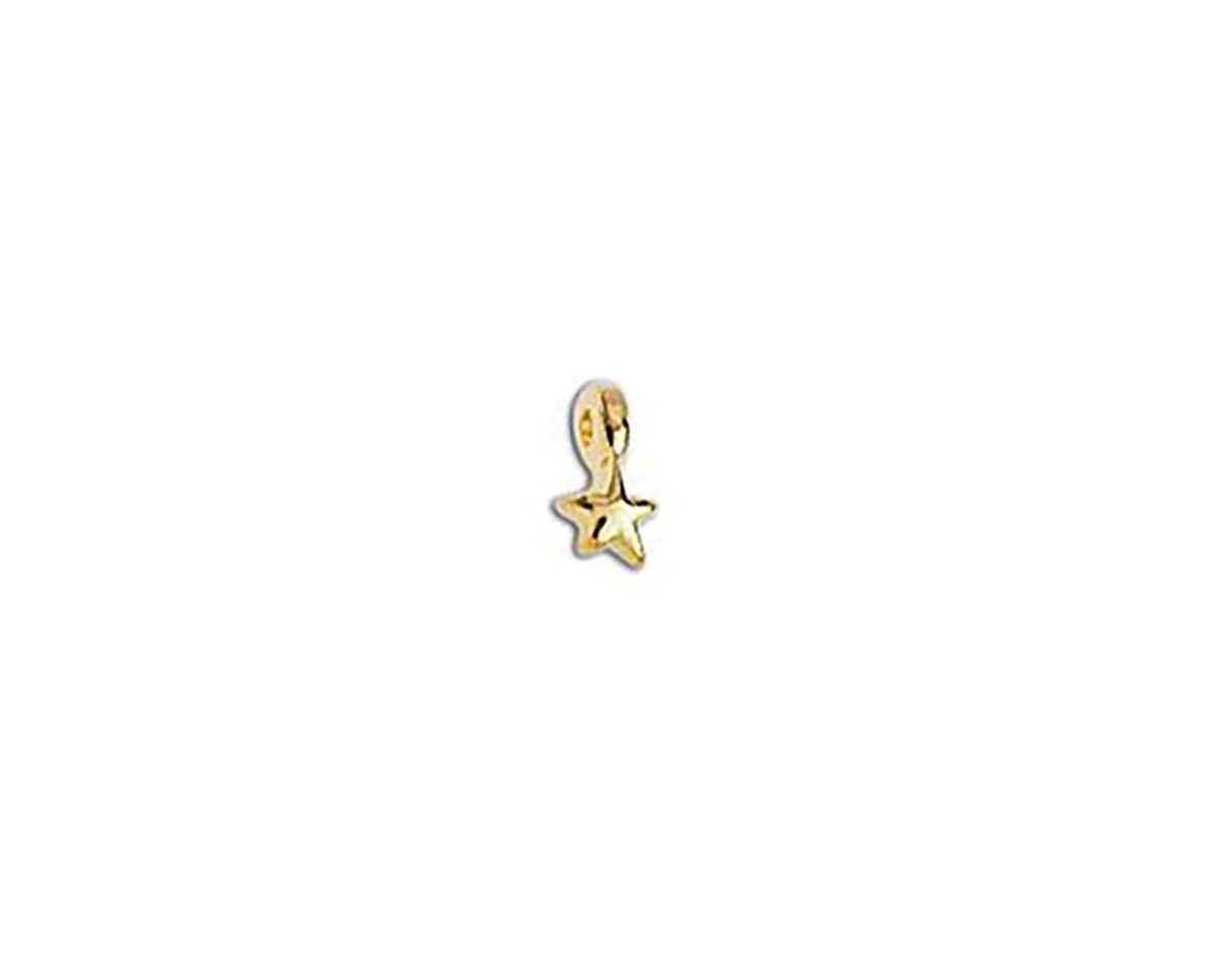 24K Gold (plated) Tiny Star Focal 4x7mm