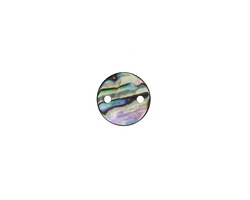 Abalone Coin Focal Link 10-11mm