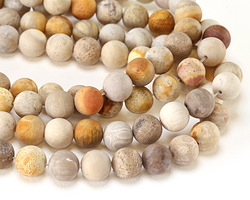 Indonesian Fossil Coral (Matte) Round 12mm