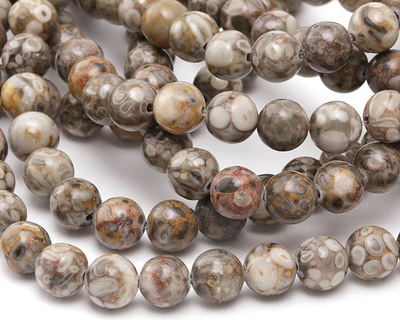 Orbicular Jasper Round 8mm