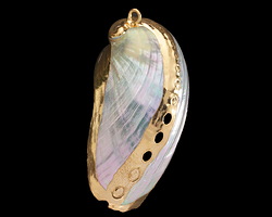White Abalone Shell w/ Gold Finish 22-27x45-55mm