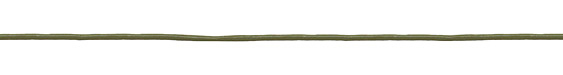 Absinth Round Leather Cord 2mm