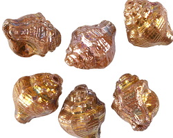 Czech Glass Pink Opal w/ Rembrandt Finish Murex Shell 15x12mm