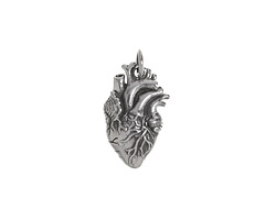 Nina Designs Sterling Silver Anatomical Heart Charm 10x20mm
