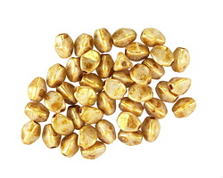 Czech Glass Gilded Vanilla Pinch Bead 5x4mm