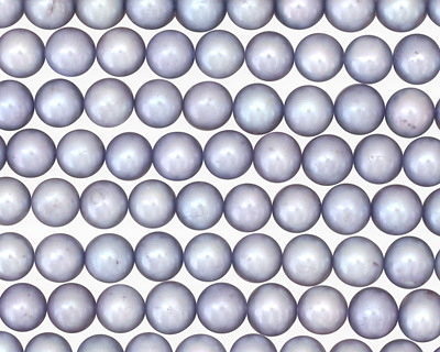 Sky Blue Potato 5-5.5