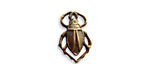 Vintaj Natural Brass Scarab Charm 11x18mm