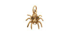 Nina Designs Bronze Spider Focal 12x17mm