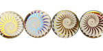Czech Glass Laser Etched Spiral Ammonite on White w/ Metallic Rainbow Finish Coin 14mm