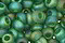 TOHO Transparent Rainbow Frosted Grass Green Round 11/0 Seed Bead