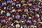 TOHO Transparent Rainbow Amethyst Round 15/0 Seed Bead