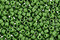 TOHO Semi-Glazed Clover Round 15/0 Seed Bead