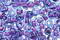 TOHO Aqua (with Purple Lining) Round 8/0 Seed Bead