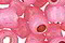 TOHO Permanent Translucent Mauve (with Silver Lining) Round 6/0 Seed Bead