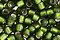 TOHO Frosted Olive (with Silver Lining) Round 15/0 Seed Bead