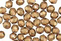 Czech Glass ColorTrends: Saturated Metallic Ceylon Yellow Fire Polished Round 4mm