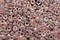 TOHO Dyed Rainbow Pink Round 15/0 Seed Bead